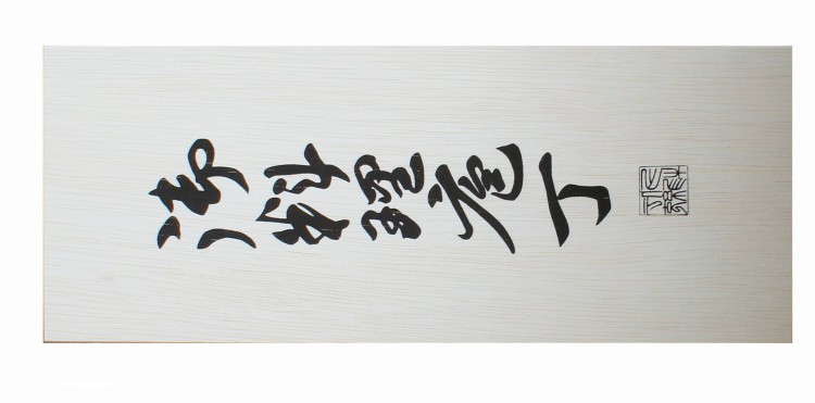 Satake Megumi Zestaw Nóż Uniwersalny + Szefa HG8166W