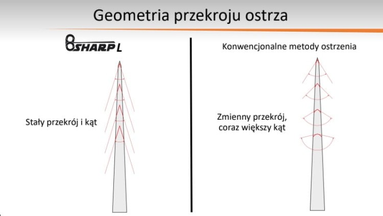 Bsharp L 5.jpg