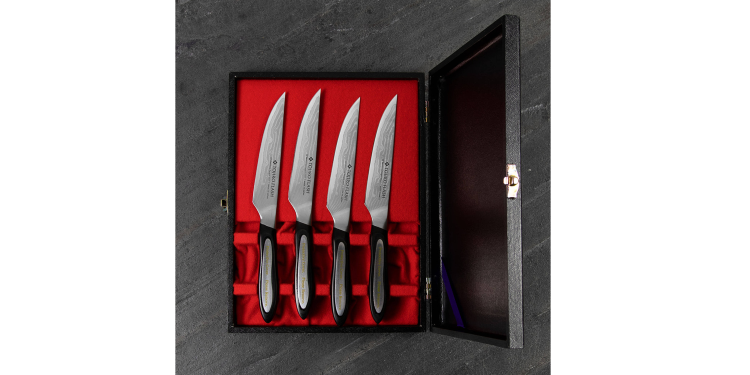 Tojiro Flash Zestaw 4 noży do steków 11cm