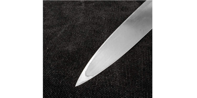 Tojiro Aogami Slanted Nóż Yanagi-sashimi 24cm F-965