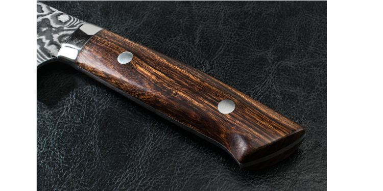 Takeshi Saji IW Ręcznie kuty nóż Szefa 24cm VG-10 HA-419