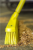 31796 (7).png