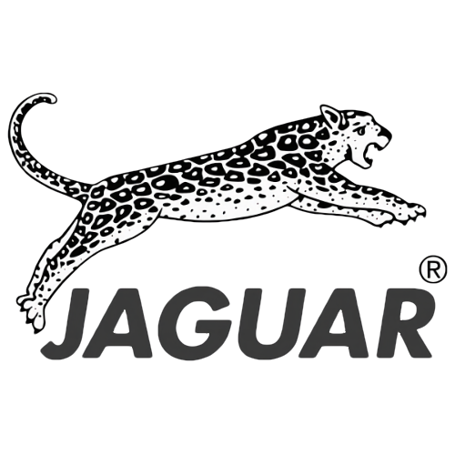 Producent: JAGUAR (przejdź do produktów)
